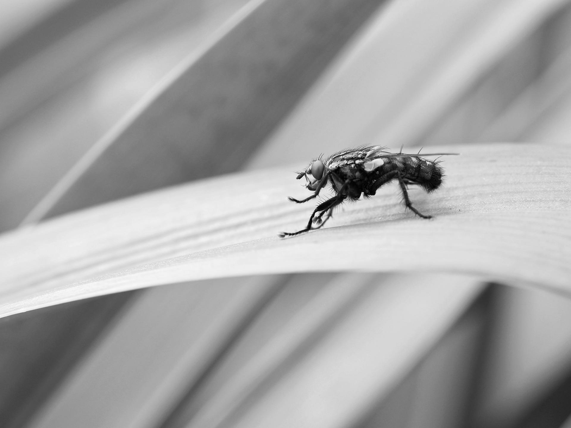 How to Improve Your Focus in a Distracted World