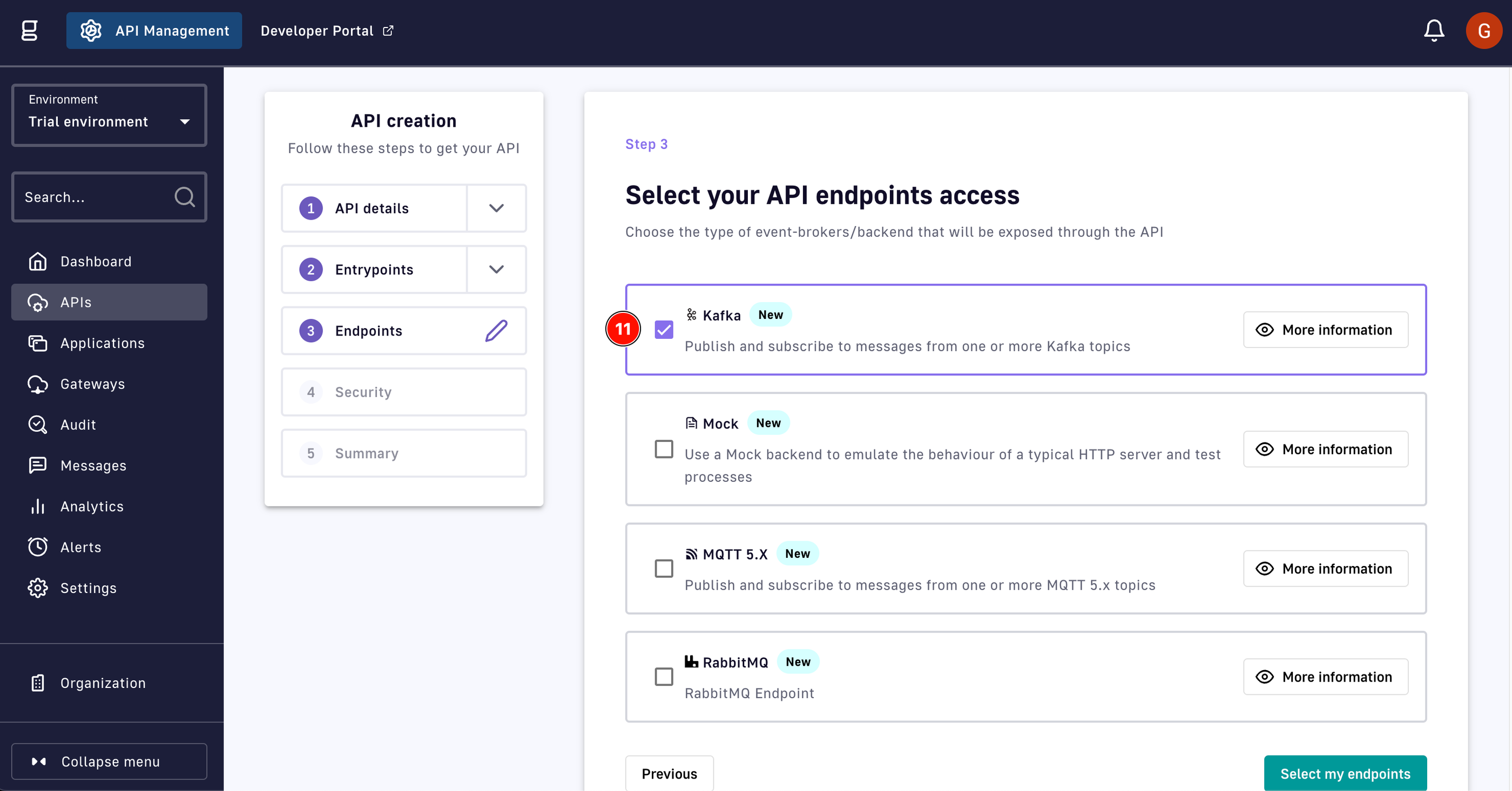 Gravitee endpoint access