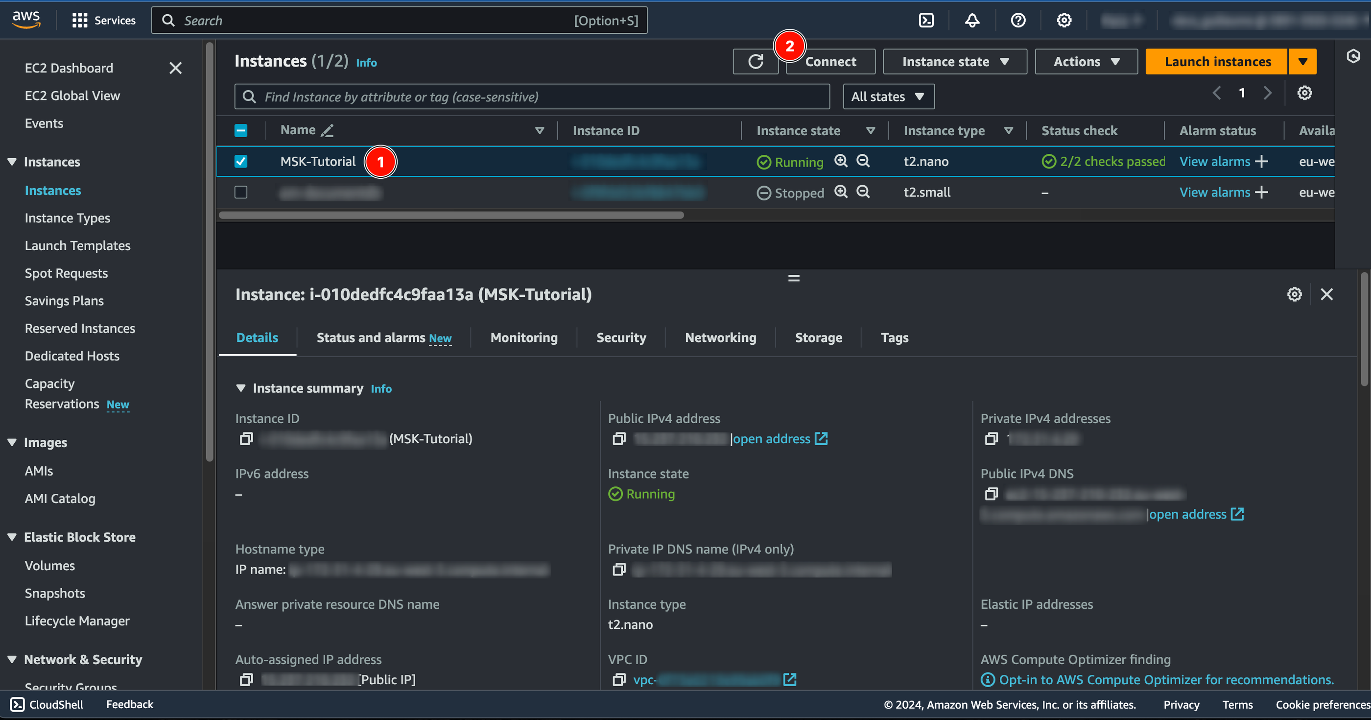 AWS MSK instances